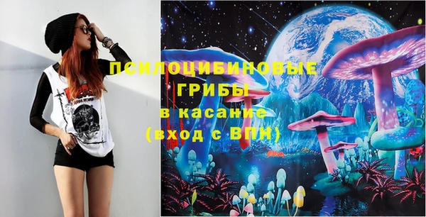 твердый Осинники